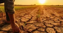Chuvas no Rio Grande do Sul: como podem afetar o pre�o dos alimentos