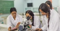 SP abre inscri��es para empresas contratantes de estagi�rios do ensino t�cnico