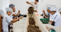 Governo quer escolher produtos verdes para vender mais na Europa