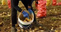 China constr�i data centers gigantescos no meio de campos de batatas para liderar a corrida da intelig�ncia artificial