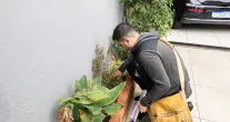 Maca� comemora queda dr�stica de 88% nos casos de dengue, mas segue alerta com a chegada das chuvas