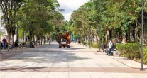 Parque da Ci�ncia Butantan abre portas para fam�lias em festa especial no Dia das Crian�as