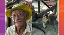 Morte de guardi�o ind�gena deixa mais de 60 gatos sem lar no Pantanal