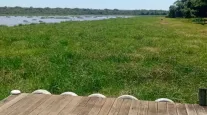 Rio Pardo agoniza: polui��o amea�a gado, lavouras e o meio ambiente em Ribas