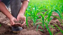 Agro ajuda o Brasil, mas quem ajuda o produtor rural?