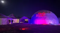Frequentadores do Burning Man ficaram est�reis ap�s contrair doen�as sexualmente transmiss�veis em festa pol�mica nos EUA