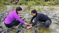 F�rum nacional de educa��o ambiental abre inscri��es para apresenta��es de trabalhos