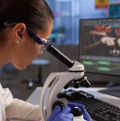 Governo do Brasil anuncia R$ 3,3 bi para projetos alinhados � Nova Ind�stria Brasil