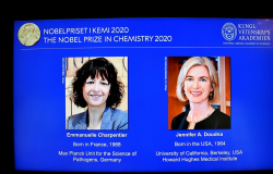 Duas cientistas vencem Nobel de Química por pesquisa com genoma