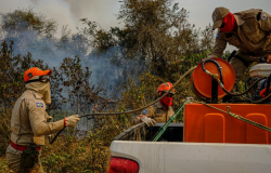 Corpo de Bombeiros e Sema iniciam queimas prescritas e aceiros no Parque Encontro das Águas, no Pantanal
