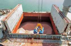 Importação de fertilizantes movimenta portos do Paraná, mas falta espaço