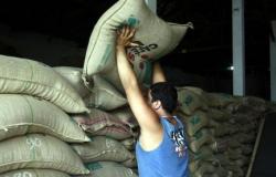 Exportações globais de café crescem 4% em março