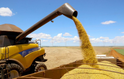 Safra de grãos 2023/2024 deve chegar a 316,7 milhões de toneladas