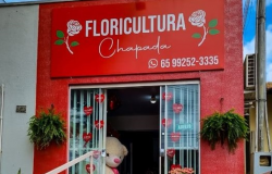 Chapada Floricultura:  Cultivando emoções e celebrando momentos especiais