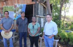Emenda de Botelho incentiva comunidade rural a produzir Melaleuca