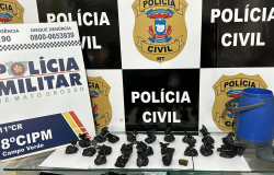Ao apurar denncia de violncia domstica, Polcia Civil prende suspeito por trfico de drogas