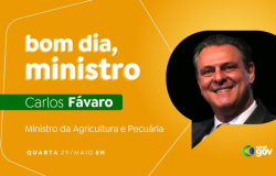 Carlos Fvaro detalha medidas para agricultores gachos e garantia de abastecimento