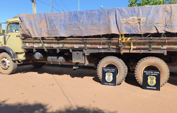 Polcia Civil prende trs por transporte ilegal de madeira e trfico de drogas na regio de fronteira