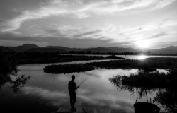 Exposio fotogrfica sobre o Pantanal fica em cartaz at 30 de junho em Cuiab