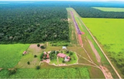 Fazenda da Boi Gordo em MT  leiloada por R$ 24,5 milhes