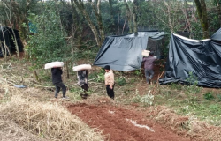 Comunidades Kaingang, Av-Guarani e Kaiow so atacadas em trs estados neste final de semana