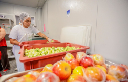 Governo Federal cria medida que amplia oferta de alimentos ao Cozinha Solidria