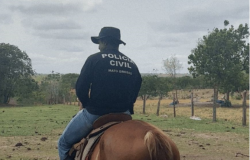 Polcias Civil e Militar prendem homem por furto de gado em Ribeiro Cascalheira e recuperam animais