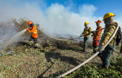 Bombeiros de MT combatem 21 incndios florestais no Estado nesta quarta-feira