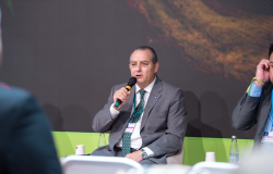 Secretrio de Desenvolvimento Econmico de MT destaca avanos da cadeia pecuria em painel da COP 29