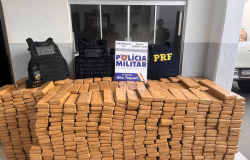 Ao integrada apreende mais de 1,3 mil tabletes de maconha em Alto Taquari