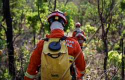 Corpo de Bombeiros faz balano de aes e debate planejamento de combate aos incndios em 2025