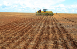 Indea prorroga prazo de cadastramento obrigatrio de rea cultivada de soja