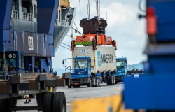Exportaes de Frango Avanam em Fevereiro e J Correspondem a 70% do Volume de 2024