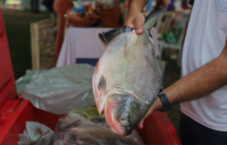 Vrzea Grande lana chamamento pblico para cadastrar participantes do >VG Santo Peixe>