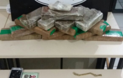Polícia Civil flagra suspeitos escondendo 14 tabletes de maconha em MT