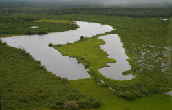 Conferência vai debater Estatuto do Bioma Pantanal
