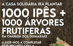A Casa Solidaria Irá Plantar 1000 Ipés + 1000 Árvores Frutiferas Em Chapada Dos Guimarães.