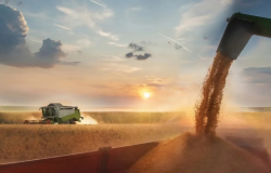 EUA vendem 2,1 milhões de toneladas de milho da safra 2021/22 na semana