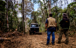 Mato Grosso é o estado que mais age no combate ao desmatamento, aponta MapBiomas