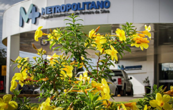 Hospital Metropolitano em Vrzea Grande realiza primeira neurocirurgia para melhorar sintomas da doena de Parkinson