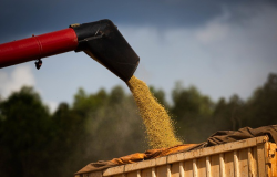 Com soja recorde, safra de grãos 2022/23 no Paraná pode chegar a 47,12 milhões de toneladas