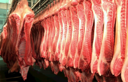 Exportação de carne suína apresenta pior volume dos últimos oito trimestres