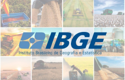 IBGE prevê safra de 306,5 milhões de toneladas para 2024, com queda de 2,8% frente a 2023