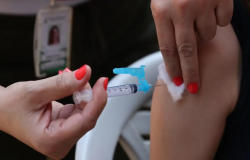 Vacina contra a dengue: Chegam ao Brasil as primeiras doses