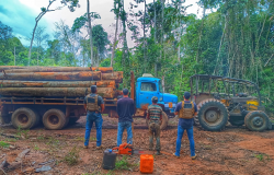 Polcia Civil prende trs pessoas envolvidas em extrao ilegal de madeira em Nova Maring