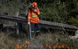 Corpo de Bombeiros segue no combate a dois incndios florestais neste domingo (23)