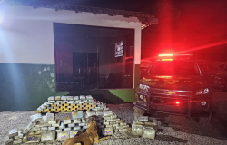 Gefron apreende 153 kg de drogas e gera prejuzo de R$ 1,6 milho ao crime organizado