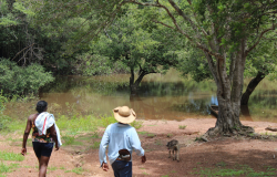 Territórios quilombolas são vítimas de Agrotóxicos nas Águas do Pantanal