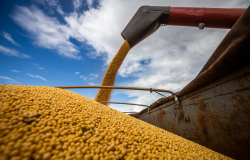 Recorde: 101,3 milhões de toneladas de soja foram exportadas em 2023