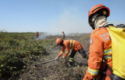 Comandante-geral dos Bombeiros vistoria combate ao fogo no Pantanal: incndio sob controle